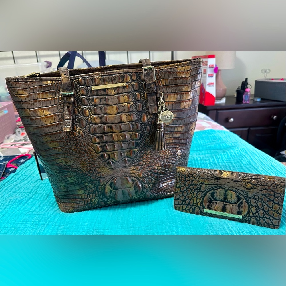 Brahmin Fall Tortoise Asher Melbourne with matching Ady Wallet